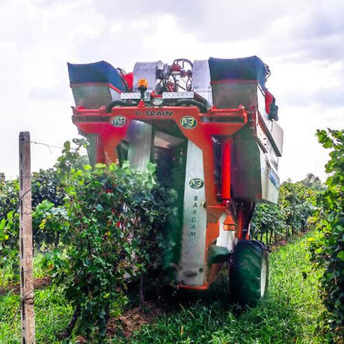 Macchina da vendemmiare